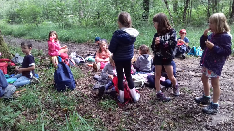 groupes scolaires et parascolaires